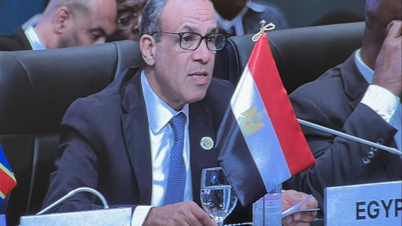 الدكتور بدر عبد العاطي،