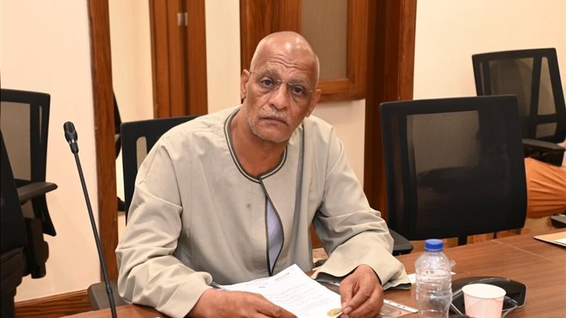 النائب مدحت ركابي،