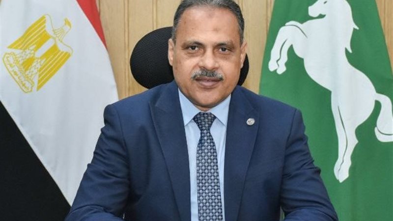 محافظ الشرقية 