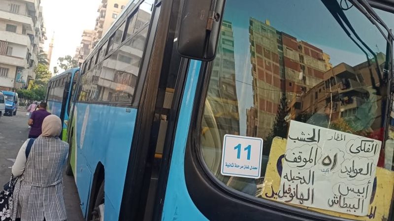 الاسكندريه 