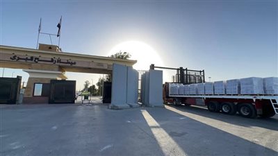 2786 طنًا من الإغاثة تعبر نحو غزة ضمن قافلة «زاد العزة» رقم 208