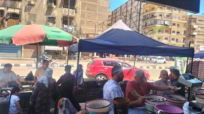 محافظ الدقهلية يتابع 