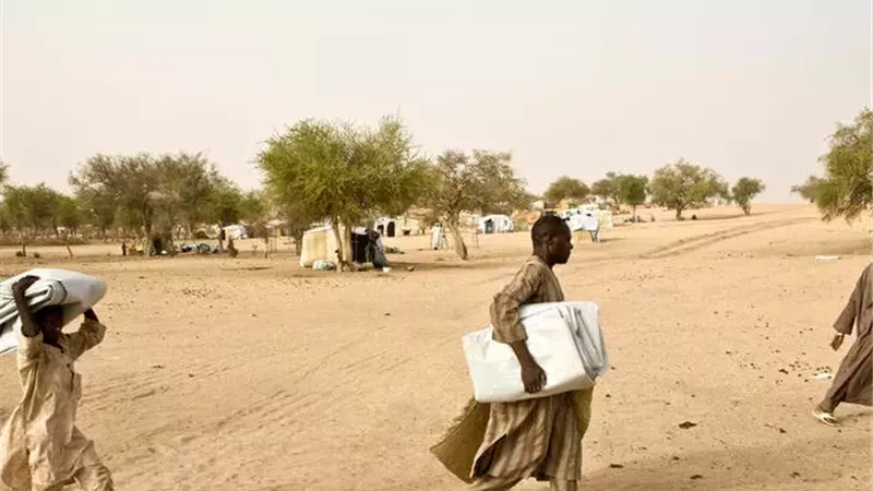 صورة ارشفيه 