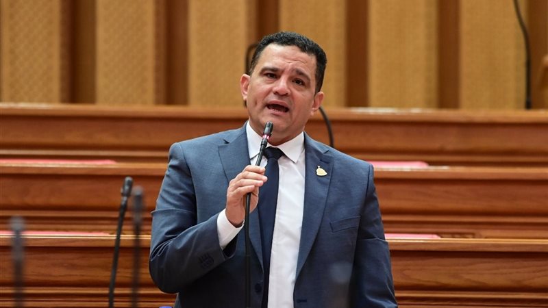 النائب أمير الجزار ، عضو مجلس النواب 