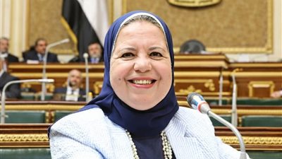  يهدد الاستقرار الوظيفي.. أمل عصفور تتبنى مطالب العمال تحت القبة
