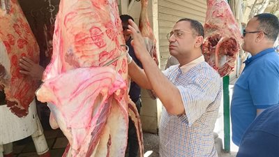 تحرير 240 مخالفة خلال حملات رقابية مكثفة على المخابز والأسواق بالمنيا