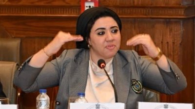 أميرة صابر تطالب بمسح وطني جديد لرصد التكلفة الاقتصادية للعنف ضد المرأة
