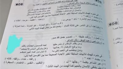 تعليم الإسكندرية تكشف حقيقة تسريب امتحان العربي للشهادة الإعدادية
