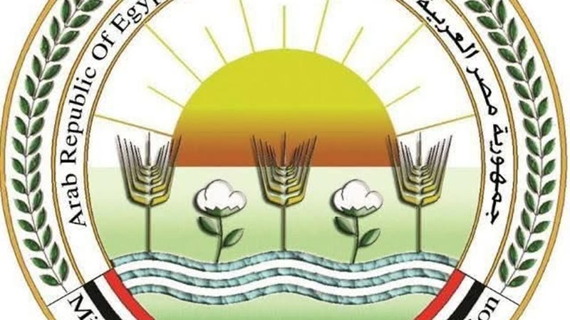الزراعة 