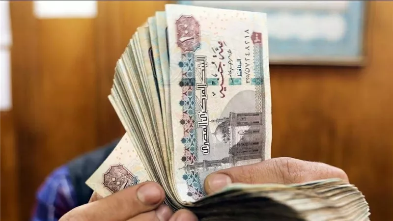 الدعم النقدي
