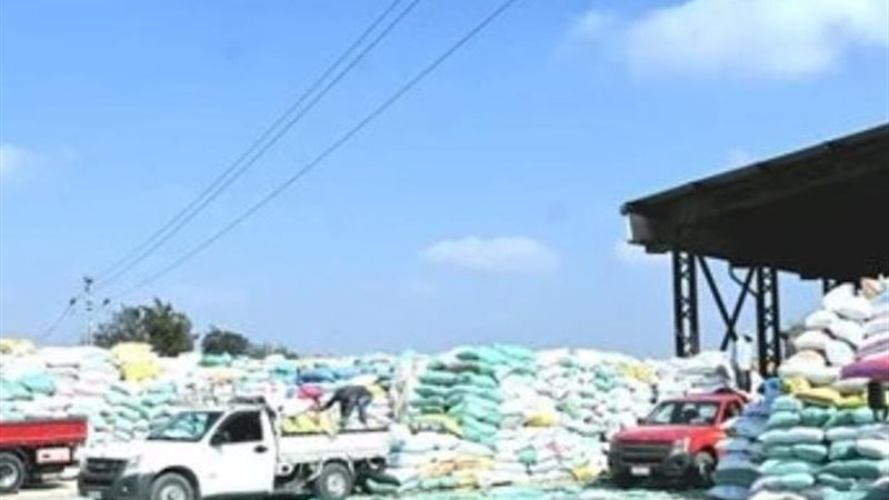 توريد القمح 