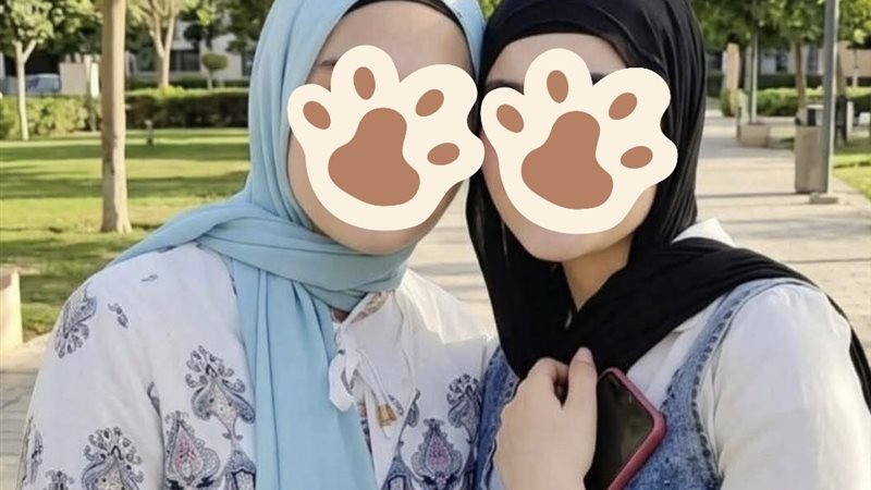 الفنانين 