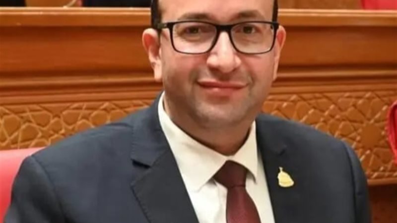 النائب عمرو عويضة،
