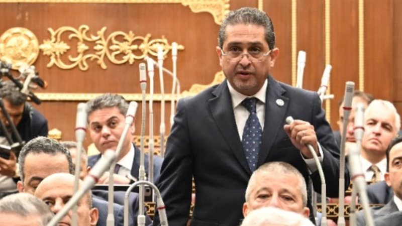 النائب كريم سالم،