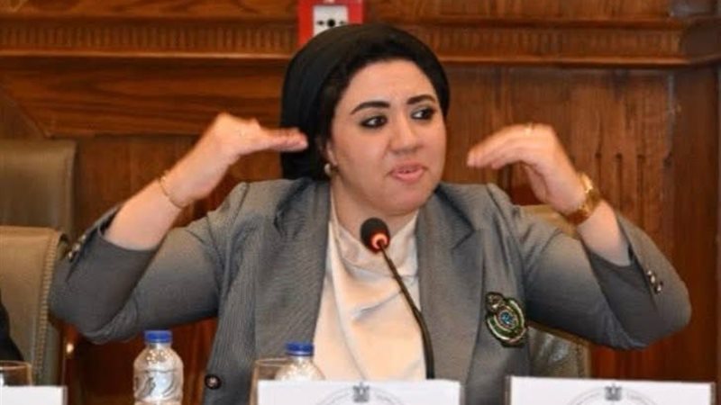 النائبة أميرة صابر،