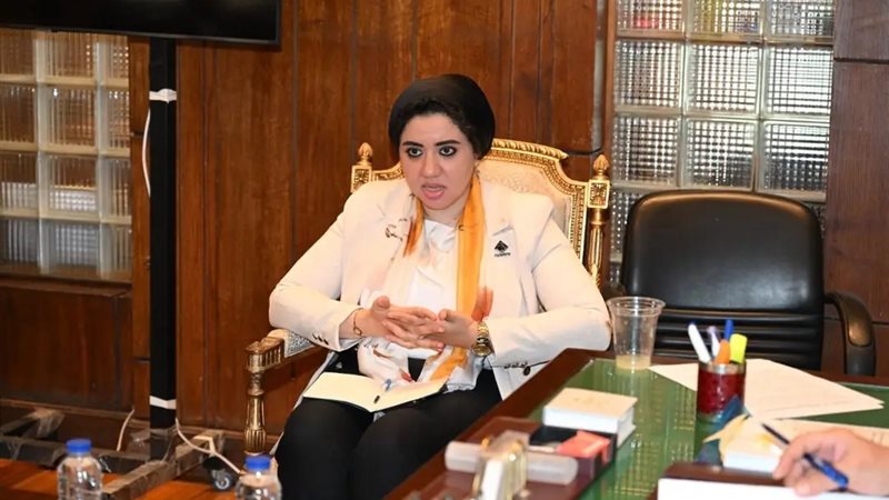النائبة أميرة صابر،