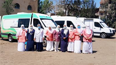 محافظ الدقهلية: 1071 مواطنًا استفادوا من القافلة الطبية المجانية بقرية قراش ببلقاس