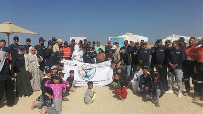 وادي الجمال يقود ملحمة بيئية بالبحر الأحمر.. حملات نظافة واستزراع 1000 شتلة مانجروف