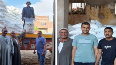 لضمان وصول الدعم لمستحقيه.. «زراعة البحيرة» تكثف الرقابة على توزيع الأسمدة بإيتاي البارود