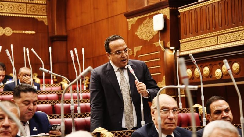 النائب أحمد الفار،