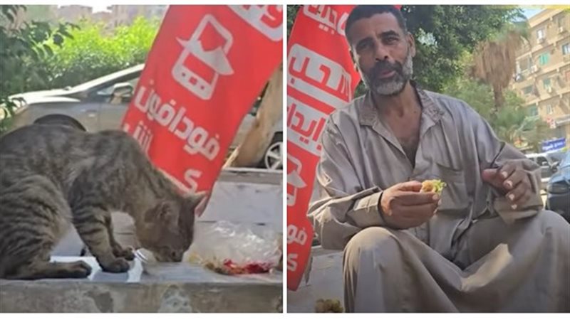 العامل والقطة 
