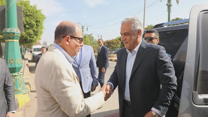 جانب من الاستقبال