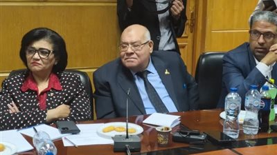 الشهابي يطالب بتعويض أصحاب المعاشات أسوة بالمقاولين لمواجهة غلاء المعيشة والتضخم