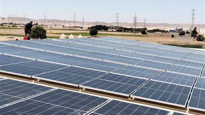 خفض تكاليف التشغيل 50%.. الطاقة النظيفة تدعم زراعة النباتات الطبية والعطرية بأسيوط
