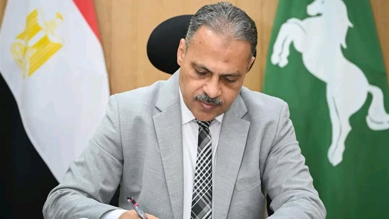 محافظ الشرقية 