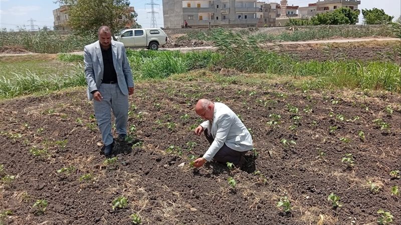 وكيل وزارة الزراعة