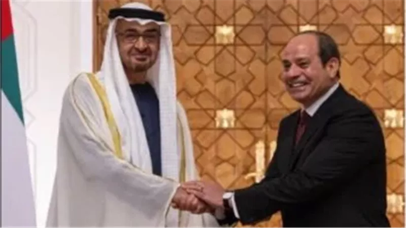 الرئيس عبد الفتاح