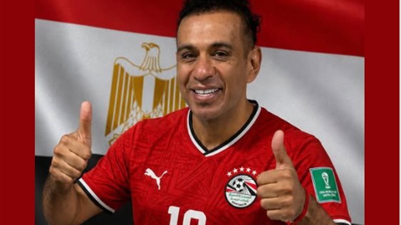 محمود الليثي