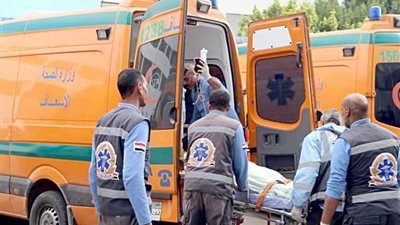 مأساة إنسانية بالمنيا.. مصرع طبيب وأبنائه الثلاثة في حادث انقلاب مروع