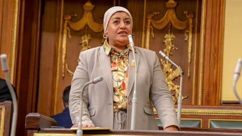 النائبة رحاب الغول،