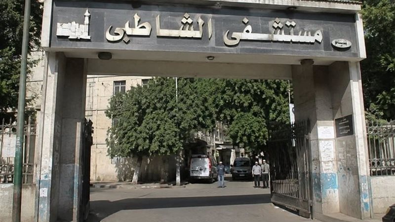 الاسكندريه 