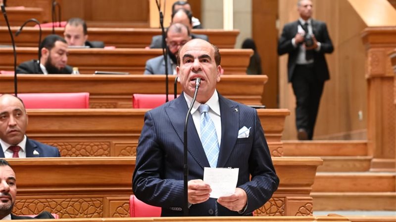 النائب ياسر الهضيبي