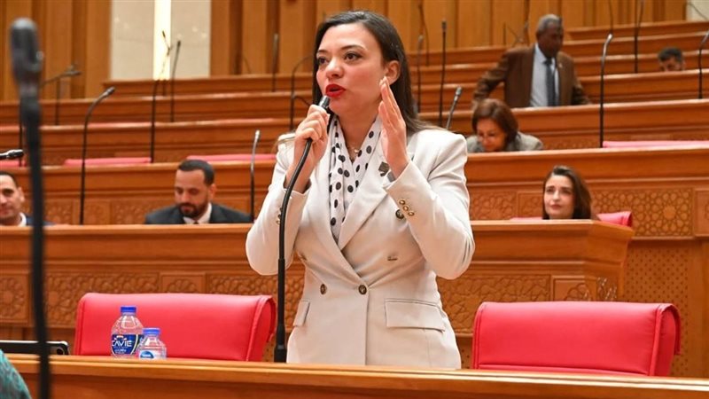 النائبة مي كرم جبر