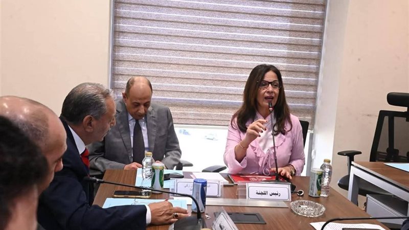 وزيرة الثقافة