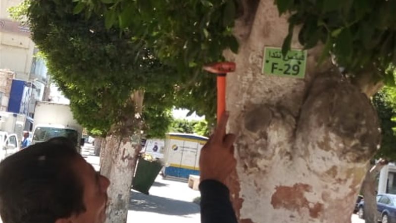 جانب من أعمال التكويد