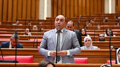 هل الاستثمارات ماشية مع الناس؟.. طلب برلماني حول الهجرة الداخلية في مصر 