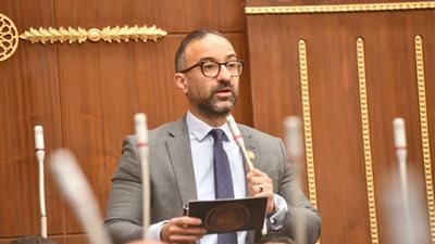 عضو بالشيوخ: نعتز بحاملي الماجستير والدكتوراه.. ولكن الشهادة ليست تذكرة عبور إلى الوظيفة الحكومية