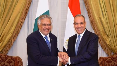 تفاصيل لقاء وزير الخارجية ونائب رئيس الوزراء ووزير خارجية باكستان