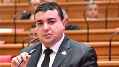 شادي الكومي ينتقد غياب الوزراء عن الاجتماعات: لن نقبل مسكنات حكومية مؤقتة