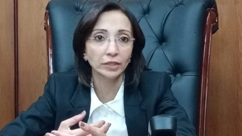 محافظ البحيرة 