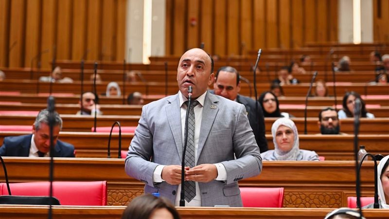 النائب حسام حسن، عضو مجلس النواب 