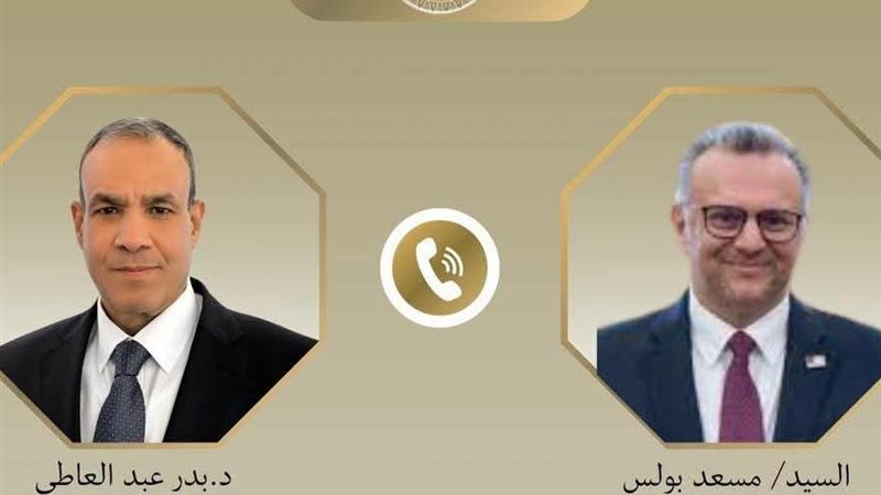 الدكتور بدر عبد العاطي،