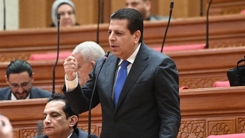 النائب محمود سامي