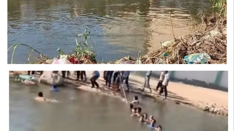 الاسكندريه 
