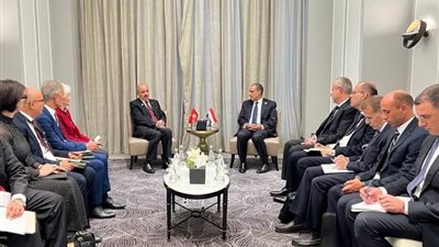 وزير الخارجية يلتقي نظيره التونسي على هامش أعمال مجلس جامعة الدول العربية