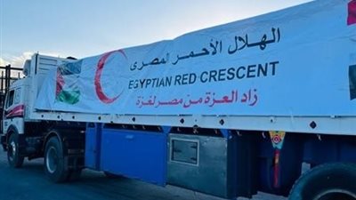 مصر تواصل دعم غزة.. دخول قافلة زاد العزة 219 محملة بالمساعدات الإنسانية والإغاثية
